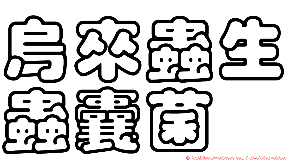 烏來蟲生蟲囊菌