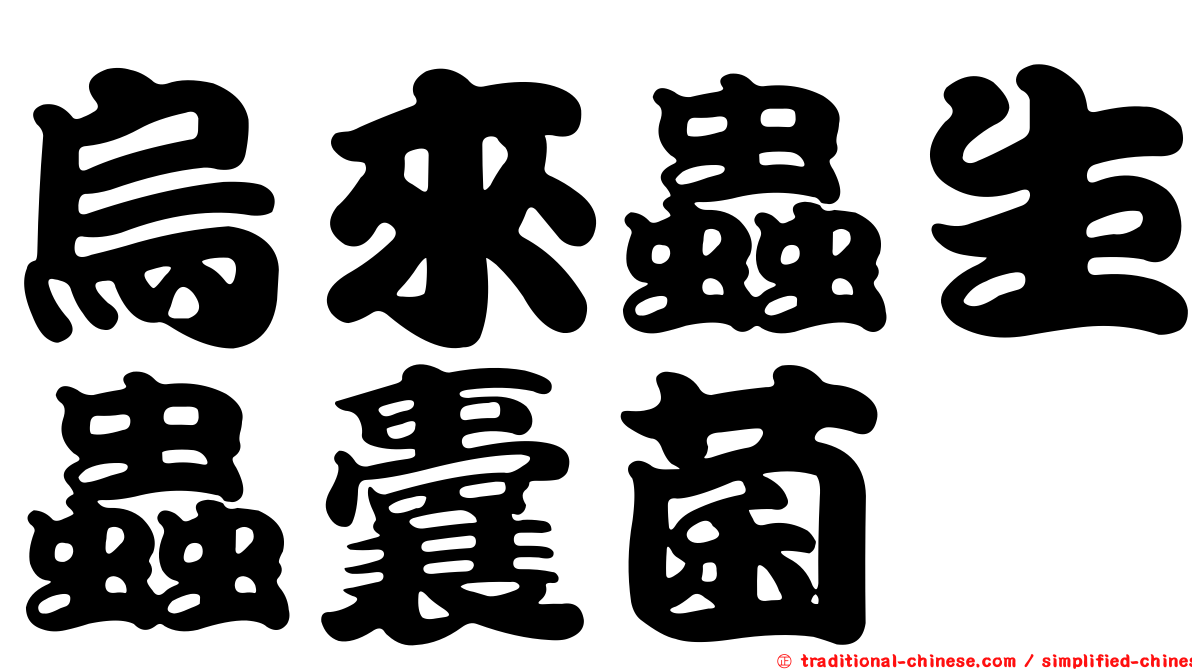烏來蟲生蟲囊菌