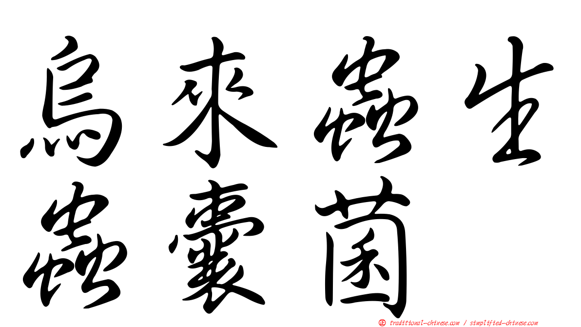 烏來蟲生蟲囊菌