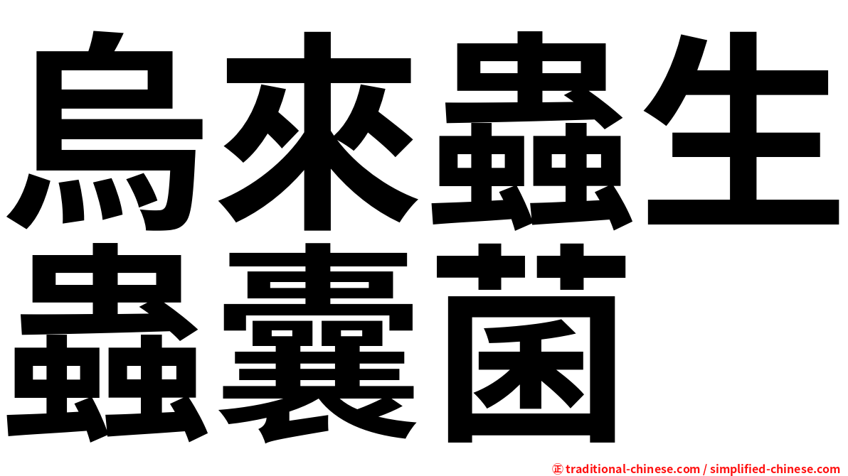 烏來蟲生蟲囊菌