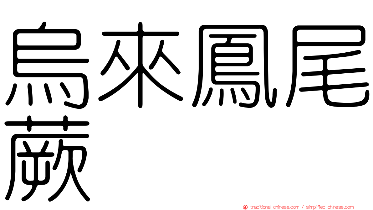 烏來鳳尾蕨