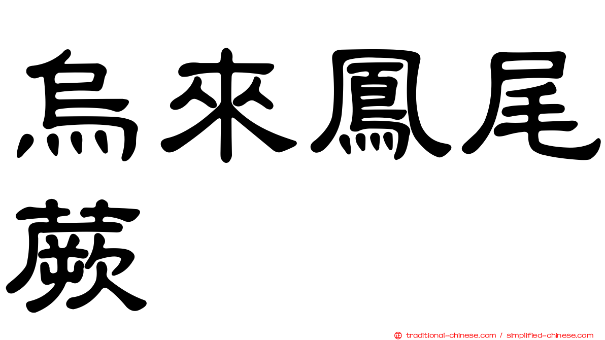 烏來鳳尾蕨