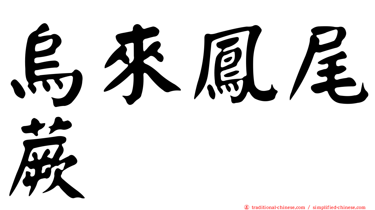 烏來鳳尾蕨