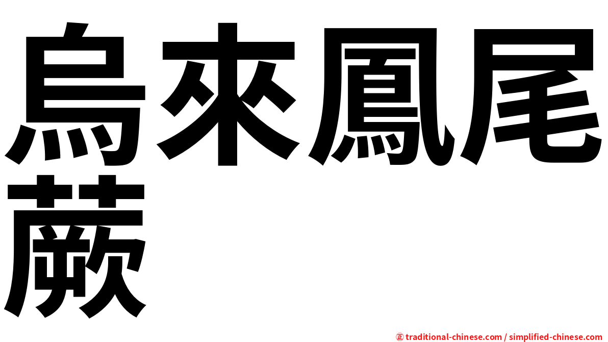 烏來鳳尾蕨