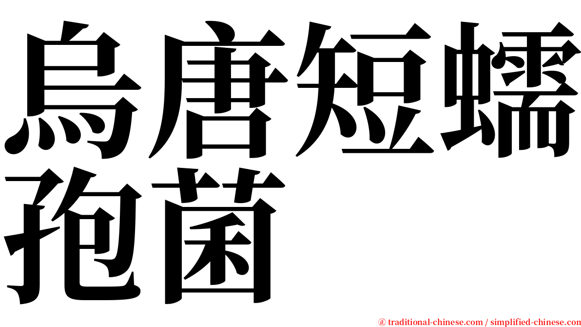 烏唐短蠕孢菌 serif font