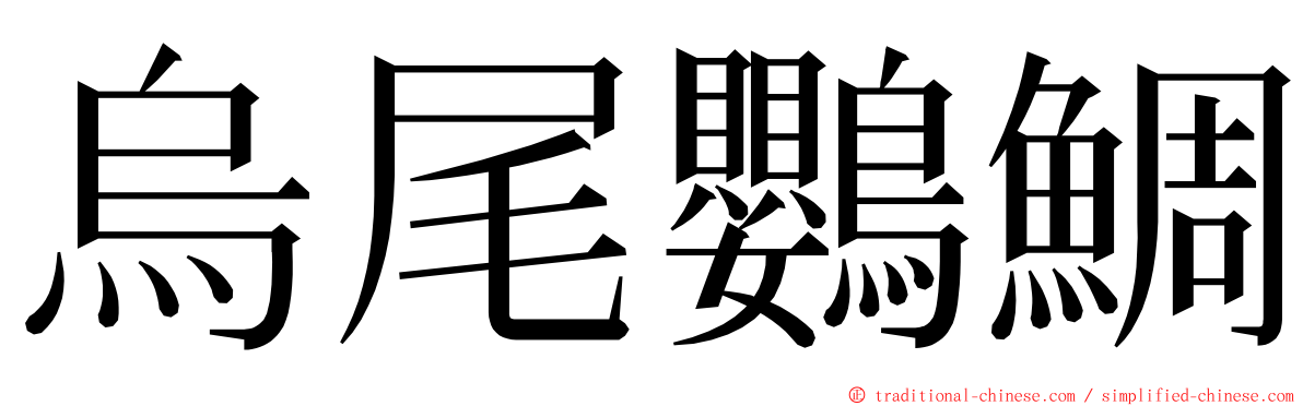 烏尾鸚鯛 ming font