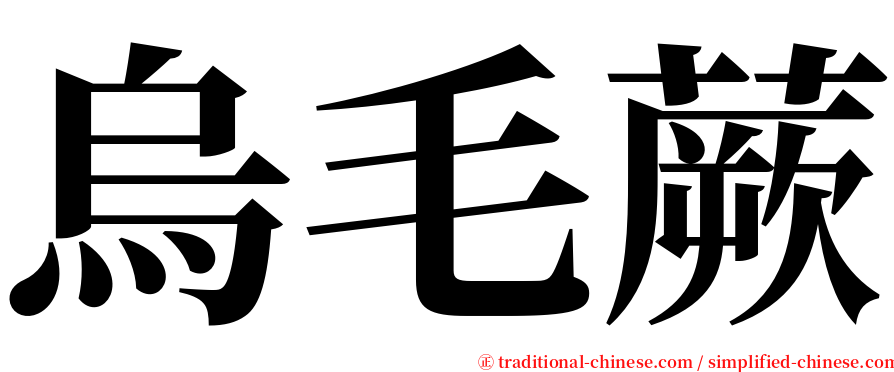 烏毛蕨 serif font