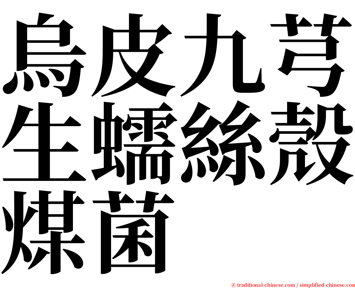 烏皮九芎生蠕絲殼煤菌 serif font