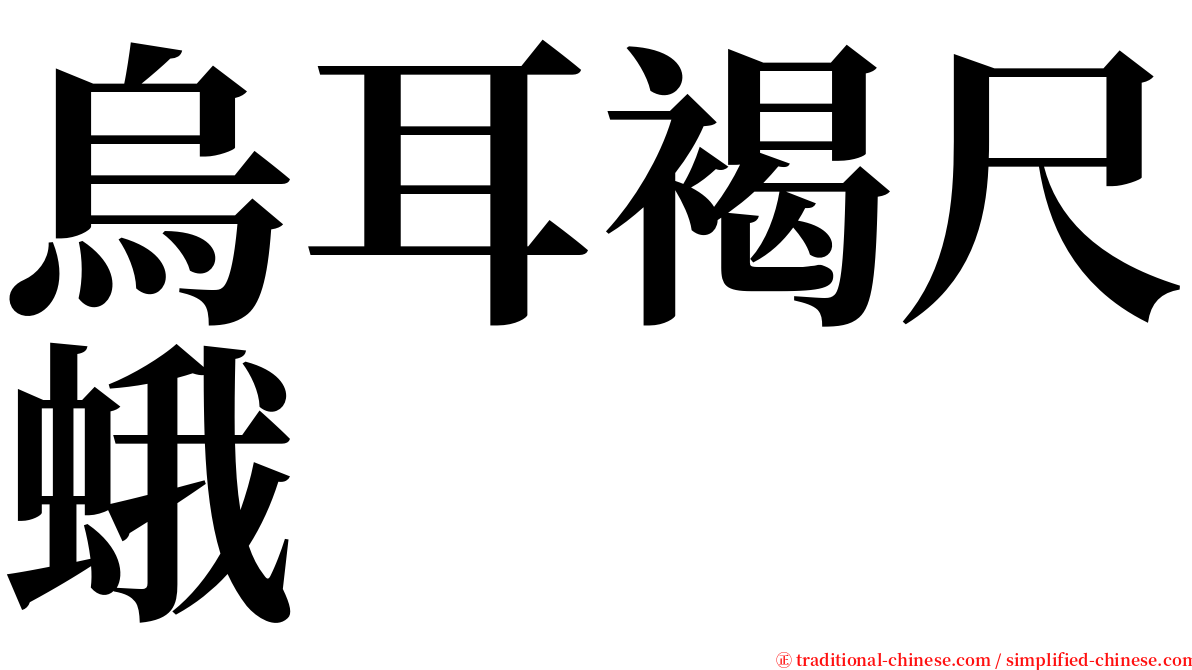 烏耳褐尺蛾 serif font