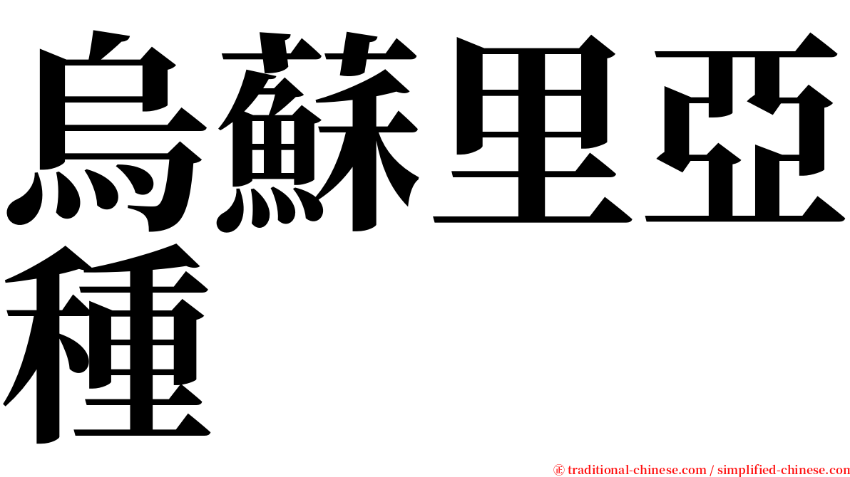 烏蘇里亞種 serif font