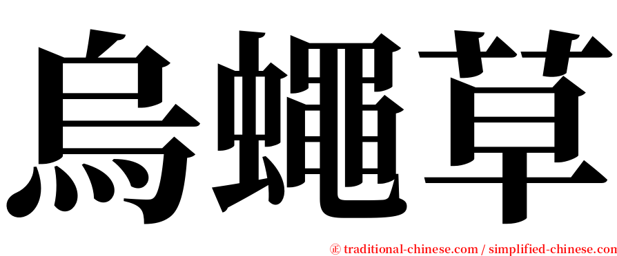 烏蠅草 serif font