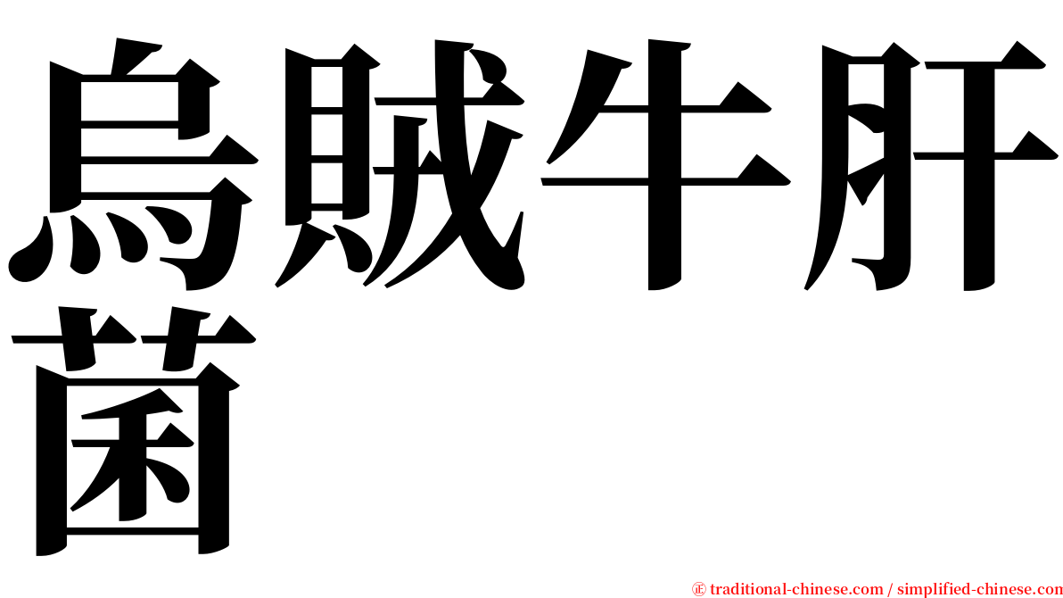 烏賊牛肝菌 serif font