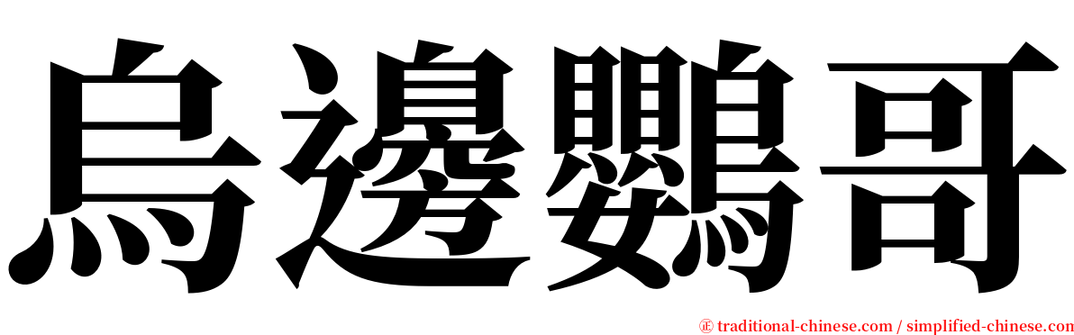 烏邊鸚哥 serif font