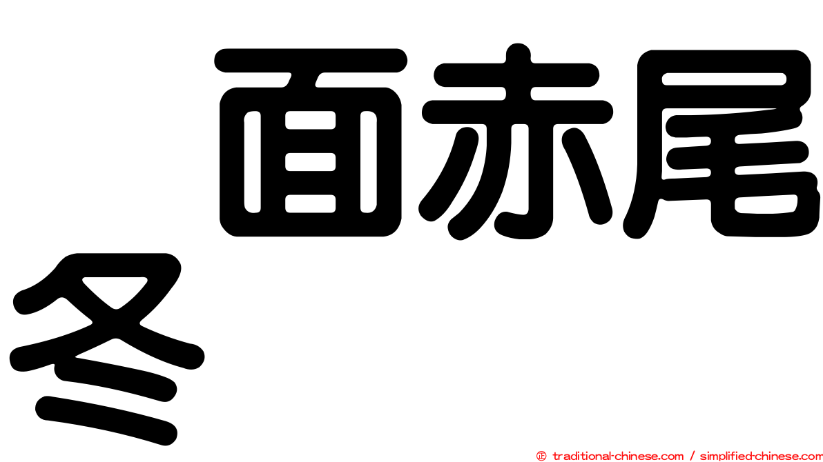 烏面赤尾冬