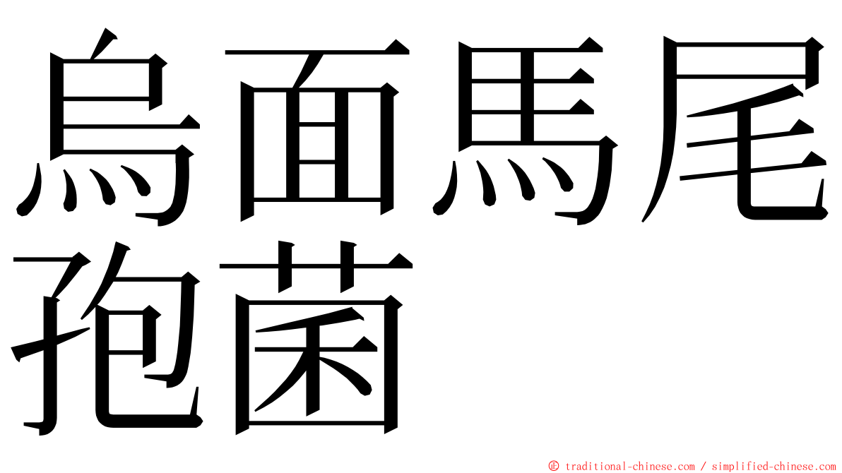 烏面馬尾孢菌 ming font