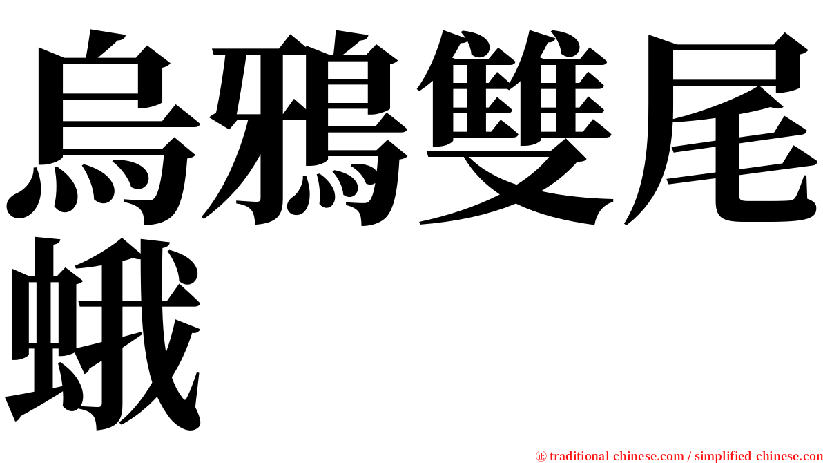 烏鴉雙尾蛾 serif font