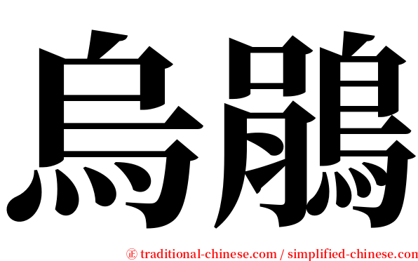 烏鵑 serif font