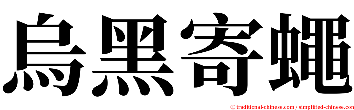 烏黑寄蠅 serif font