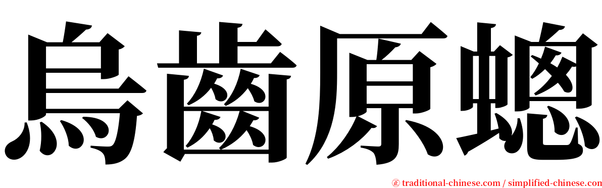 烏齒原蟌 serif font