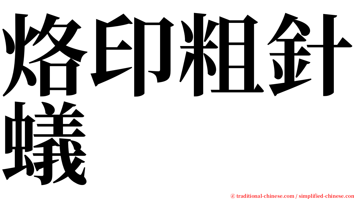 烙印粗針蟻 serif font