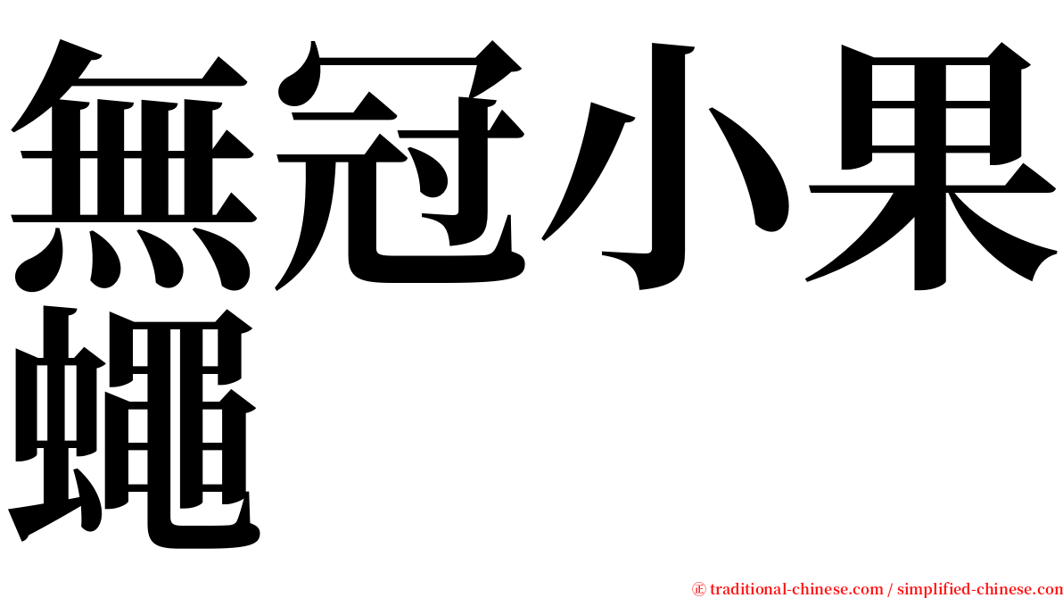 無冠小果蠅 serif font