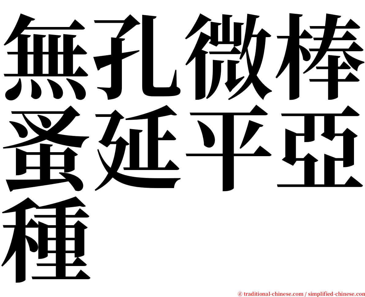 無孔微棒蚤延平亞種 serif font