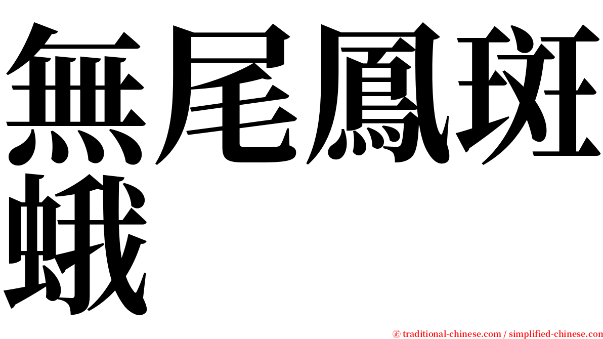 無尾鳳斑蛾 serif font