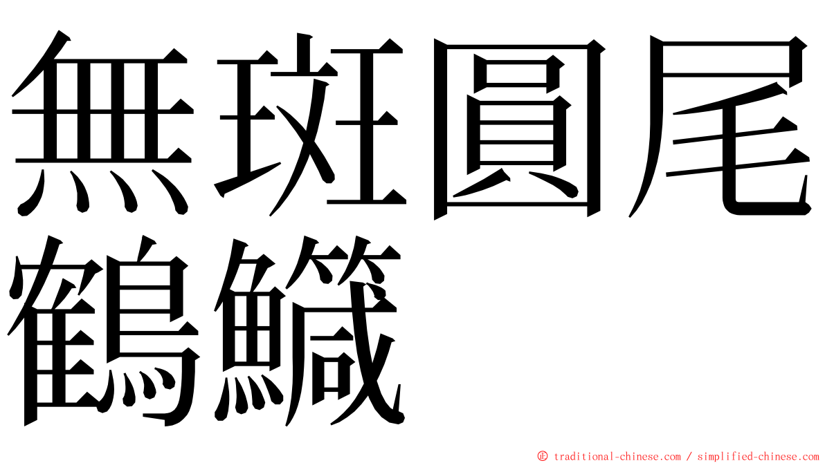 無斑圓尾鶴鱵 ming font