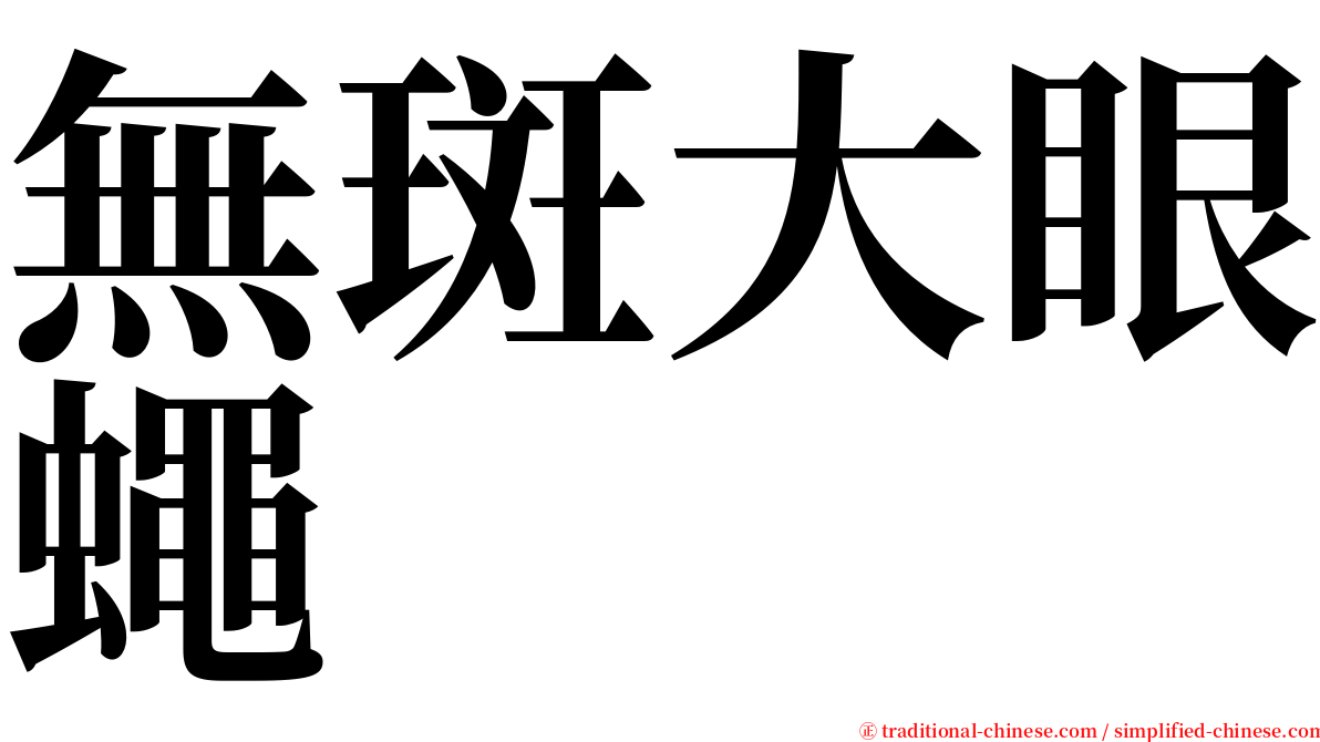 無斑大眼蠅 serif font