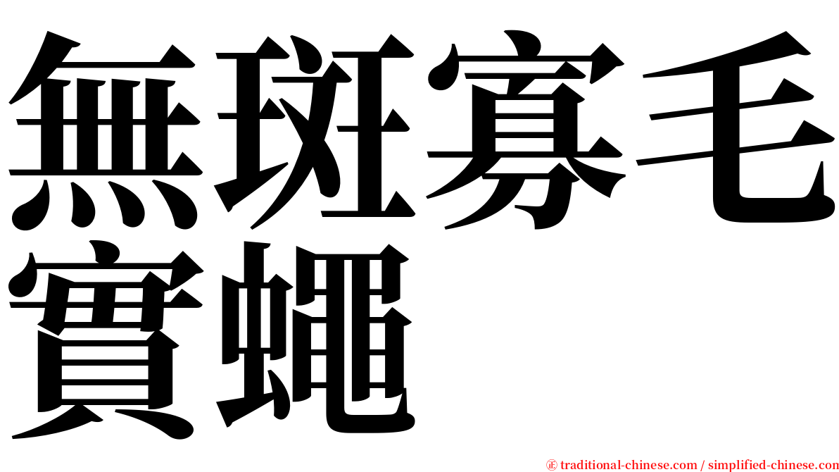 無斑寡毛實蠅 serif font