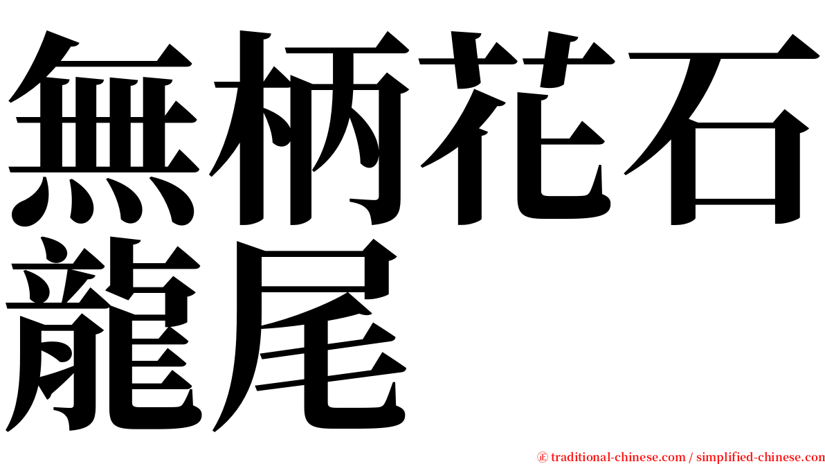 無柄花石龍尾 serif font