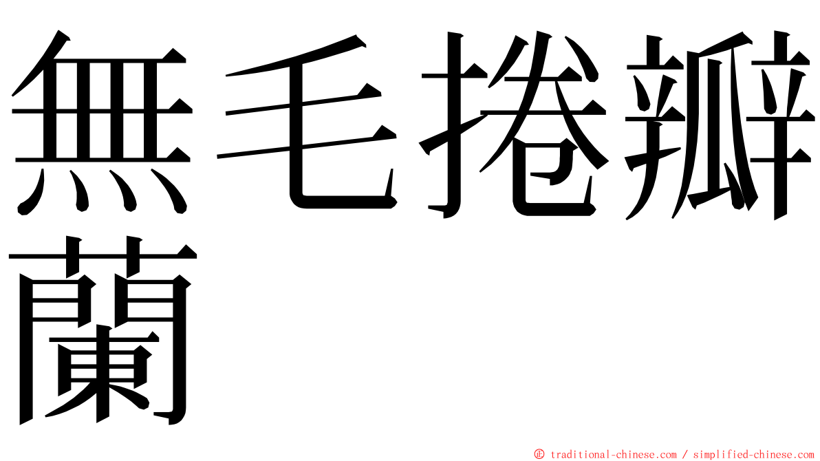 無毛捲瓣蘭 ming font