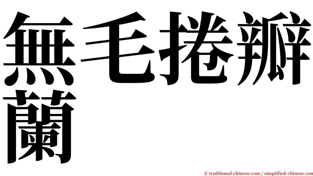 無毛捲瓣蘭 serif font