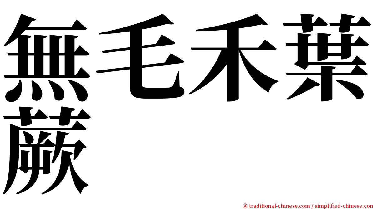 無毛禾葉蕨 serif font