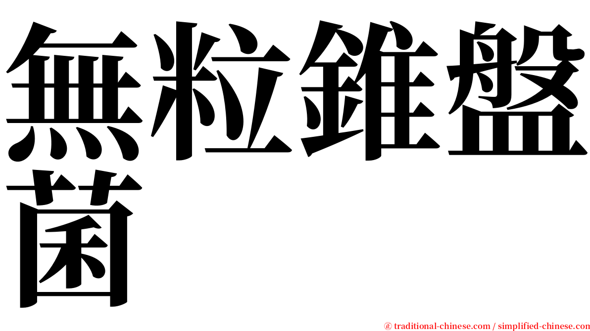 無粒錐盤菌 serif font