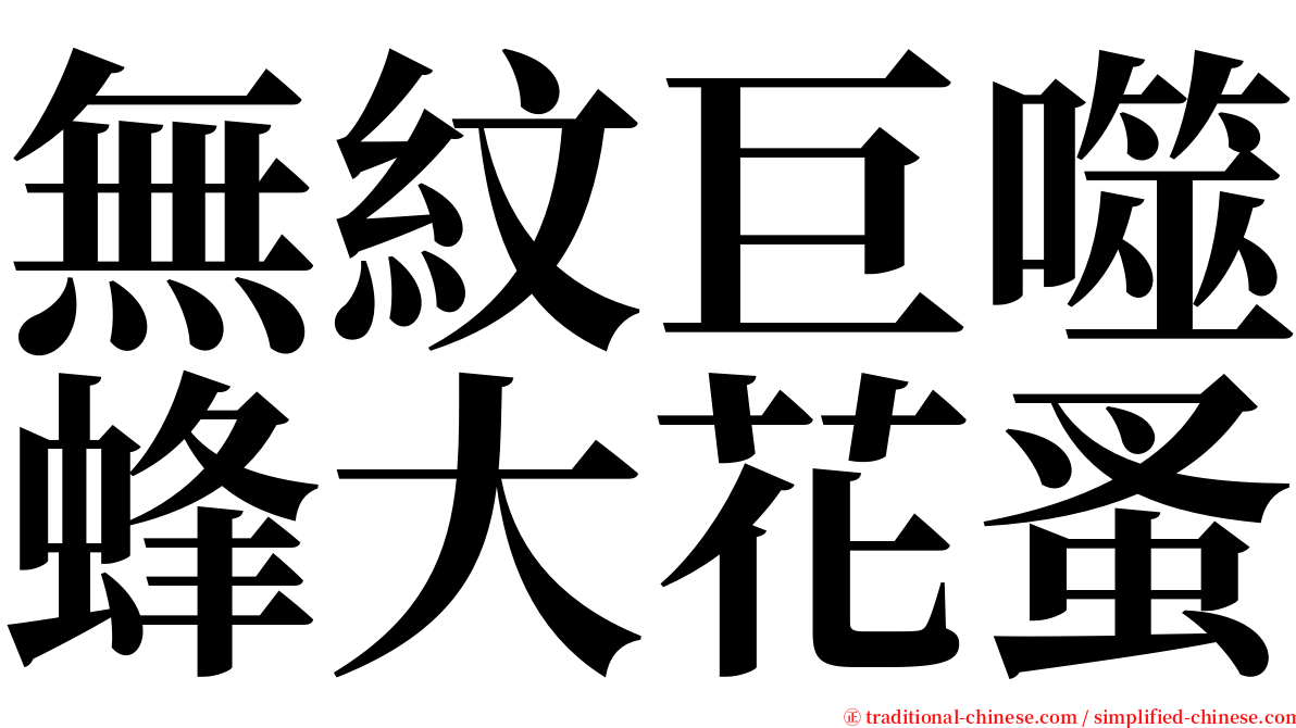 無紋巨噬蜂大花蚤 serif font