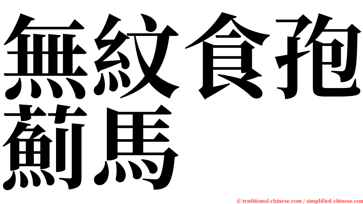 無紋食孢薊馬 serif font