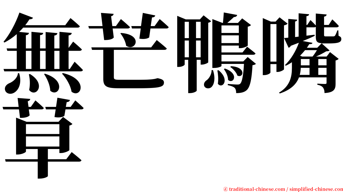 無芒鴨嘴草 serif font