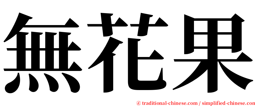 無花果 serif font