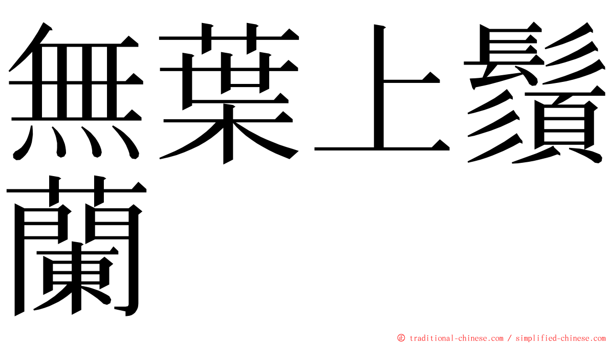 無葉上鬚蘭 ming font