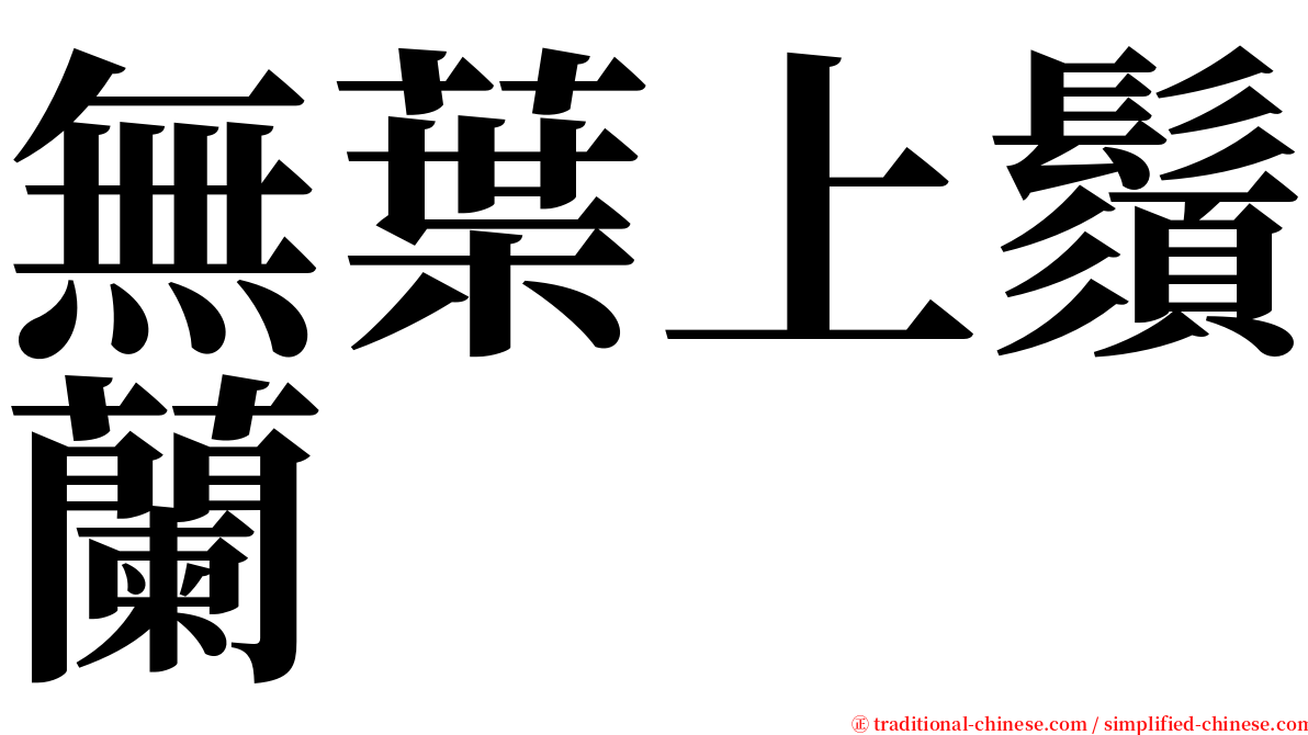 無葉上鬚蘭 serif font