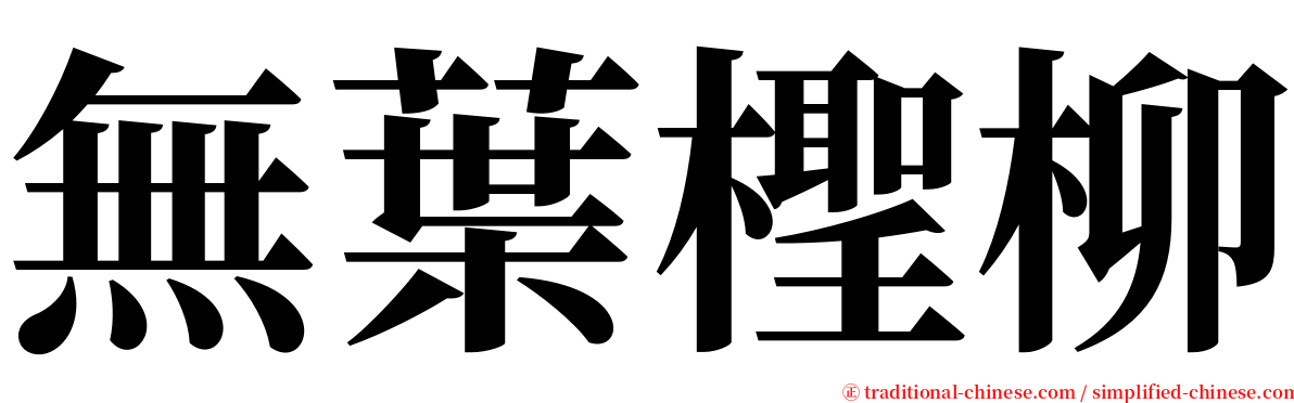 無葉檉柳 serif font