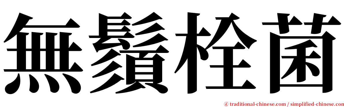 無鬚栓菌 serif font