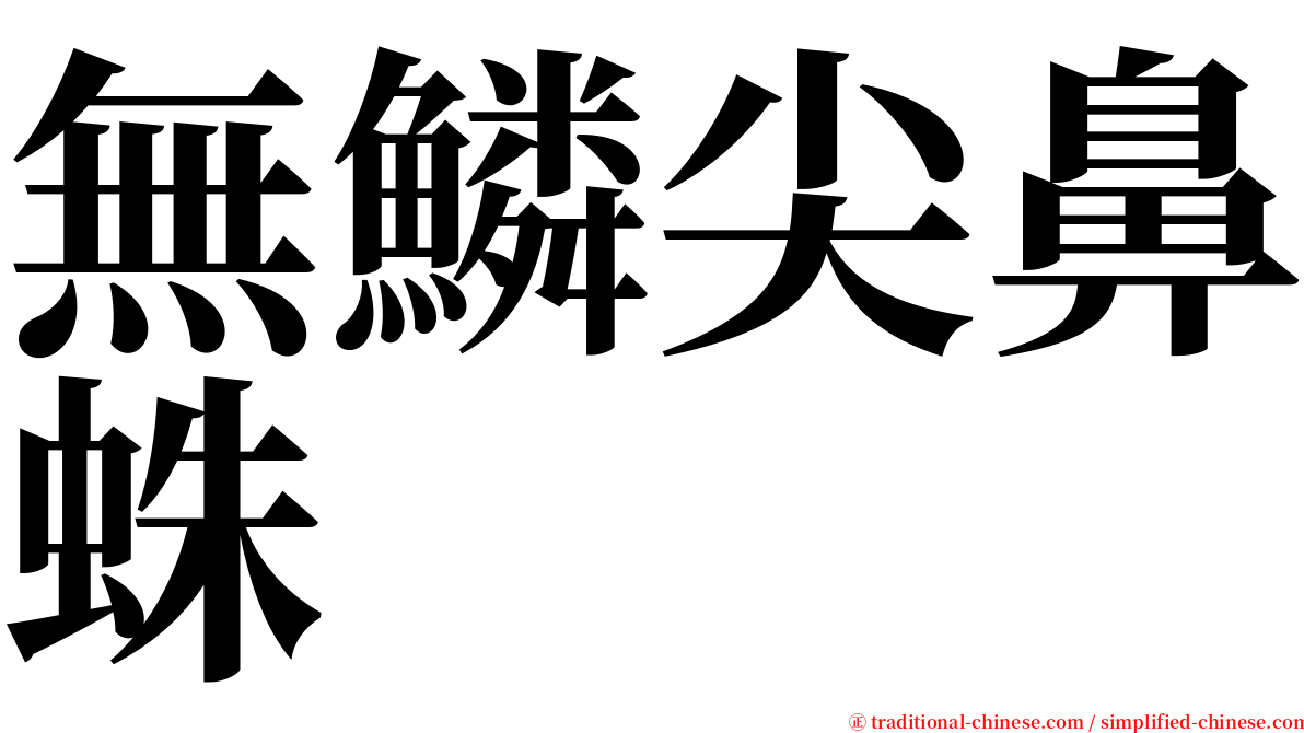 無鱗尖鼻蛛 serif font