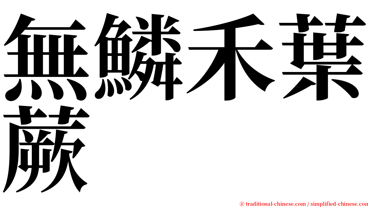 無鱗禾葉蕨 serif font