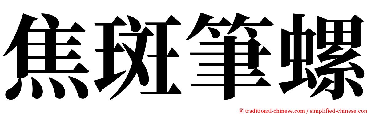 焦斑筆螺 serif font