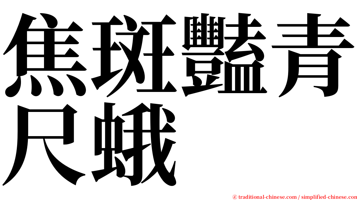 焦斑豔青尺蛾 serif font