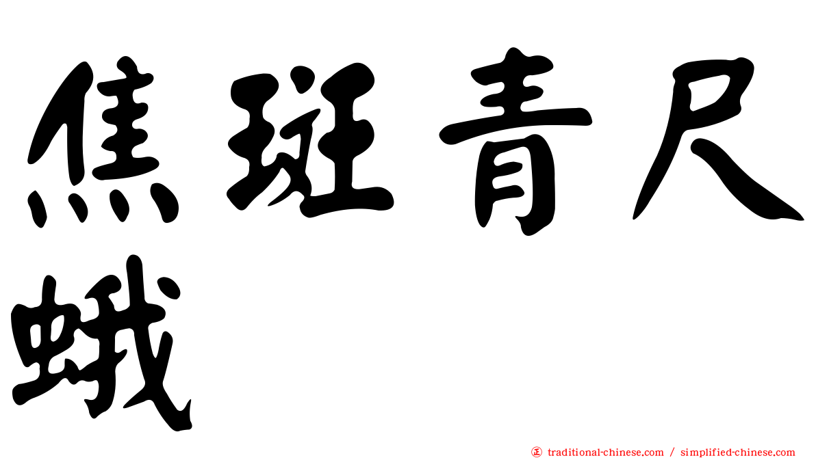 焦斑青尺蛾