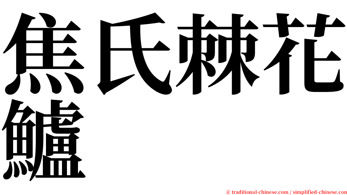 焦氏棘花鱸 serif font