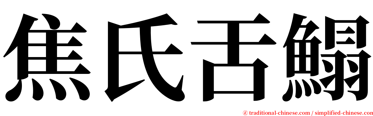 焦氏舌鰨 serif font